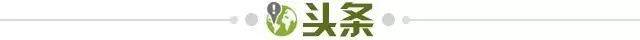 1716938997079015674.jpg 头条.jpg